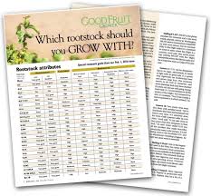Which Apple Rootstock Should You Grow With Good Fruit Grower