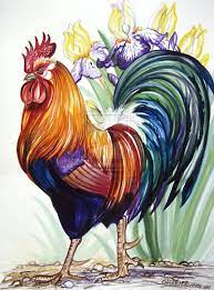 Galo (accusative singular galon, plural galoj, accusative plural galojn). Galo Galinaceos Rooster Painting Chicken Art Chicken Painting