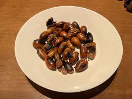 マテバシイ どんぐり