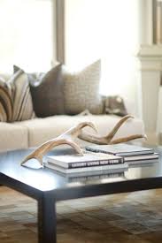 Like The Antler Display On The Coffee Table Antlers Decor Decorating Coffee Tables Coffee Table