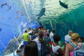 Check spelling or type a new query. 12 Reasons Eilat Is A Fabulous Place To Visit Israel21c