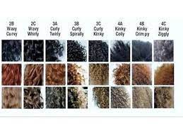 Because the cuticles do not lay flat on type 4 hair, the hair tends to be less shiny than types 1, 2 and 3 and people will often think natural black hair is dry or dull looking. Know Your Hair Type And Porosity Level Youtube