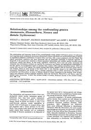 Image result for Nesaea heptamera