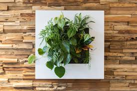 pin on groene muur
