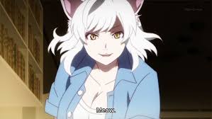 Bakemonogatari Black Hanekawa Black Hanekawa Meow Garotas Gatos