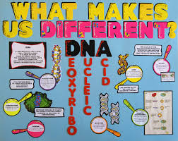 Marine Biology Science Fair Projects Science Fair Poster Dna Science Fair Projects Science Fair Poster Science Fair