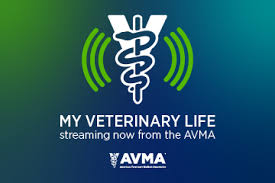 What exactly is liability insurance? Avma My Veterinary Life