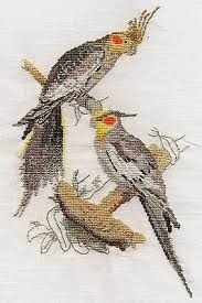 Cockatiels Counted Cross Stitch Kit Or Chart 14s Aida