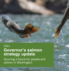 Governor's renewed salmon strategy faces decisive period in the current  Legislature