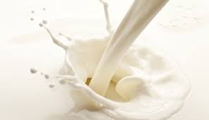 The sales of oat milk grew by 244 percent between 2018 and 2019 in canada. Is Non Refrigerated And Shelf Stable Milk Bad For You Food Marketing Technology