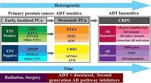 Treatment for bladder cancer depends on your overall health, progression of the c. Clinical Stages Of Prostate Cancer Developing With Time And The Download Scientific Diagram