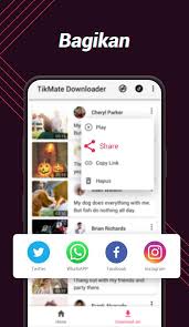 Pengunduh Video Untuk Tiktok Tikmate For Android Apk Download