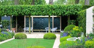 80 Fascinating Evergreen Pleached Trees For Outdoor Landscaping Hoommy Com Outdoor Landscaping Garden Design Modern Garden
