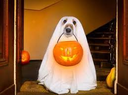 Maybe you would like to learn more about one of these? What Does Spoopy Mean Slang Definition Of Spoopy Merriam Webster