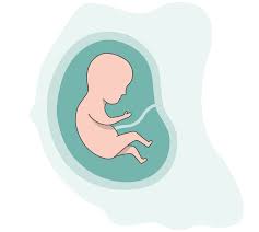 Https Xn Stiftung Folsure 7nb Ch De Folsaeure Hilft Schwangerschaft
