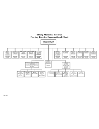 Strong Memorial Hospital Organizational Chart Free Download