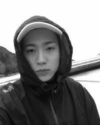 Articles written by nss staff