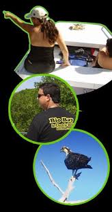 Bioluminescent Bay Puerto Rico Boat Tours Pin By Karen Riczo On Puerto Rico Island Tour Puerto Rico Trip Puerto Rico