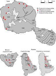 Pt borneo group cabang sintang, menyayangkan tindakan dinas kesehatan kabupaten sintang, yang seolah olah. Negative Impacts Of Invasive Predators Used As Biological Control Agents Against The Pest Snail Lissachatina Fulica The Snail Euglandina Rosea And The Flatworm Platydemus Manokwari Springerlink