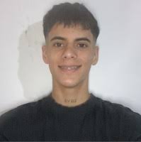 100+ perfiles de «Bottaro»