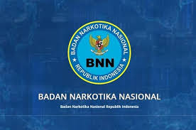 Pranata laboratorium pendidikan alhamdulillah tahun 2010 sudah terbit permenpan no.03 tahun 2010 yang mengatur jabatan fungsional plp bagi para laborann dan angka kreditnya. Lowongan Cpns Bnn 2021 Buka 148 Formasi Untuk Tenaga Teknis Dan Kesehatan Lulusan D3 Hingga S1 Bisa Mendaftar Semua Halaman Grid Hot