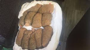 Gumruge Takilan 83 Kilo Suluk Icin 10 Yil Hapis Istendi