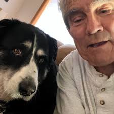 Liz Cheney/Adam Kinzinger Against Trump