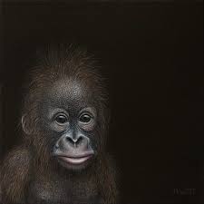 Marcel Witte Met Afbeeldingen Marcel Huisdier Portretten Kunstwerk