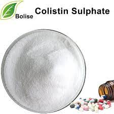 Colistin Sulphate Urinary Tract Infection Sepsis Urinary Tract