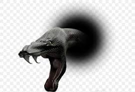 Snakes Snake Png 600x563px Snakes Anaconda Art Claw Cobras Download Free Are you searching for snake png images or vector? snakes snake png 600x563px snakes