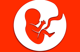 Bitlife How To Be A Farmer 420 Challenge In 2020 How To Have Twins How To Get Famous Hard Working Person