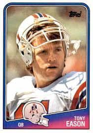 This QB actually had a couple of very Babe Parilli-type good years for the  Patriots. In 1984, passed for 3228 yards, 23 TDs and 8 INTs. In 1986, he  passed for 3328
