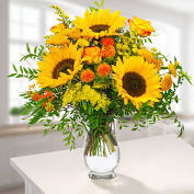 Get well flowers delivery auckland. 26 10