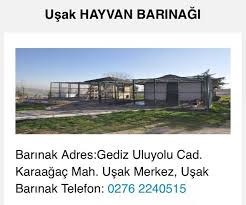Usak Kedi Kopek Sahiplendirme Ana Sayfa Facebook