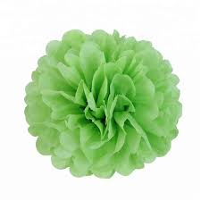 Pretty diy tissue mini pom pom or tissue paper flower gift toppers are easy to make with my full free tutorial! Lime Green Tissue Paper Pom Poms Party Decorations Online Party Supplies