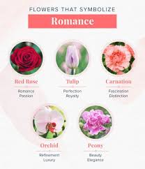 Maybe you would like to learn more about one of these? 15 Flowers That Mean Love To Add To Your Bouquet Proflowers