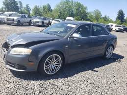 Image result for Dolphin Gray 2006 S4