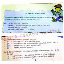 Pin By Priya Rajaram On French Nouns And Adjectives This Book Adjectives