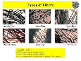 Imagen Relacionada Forensic Science Forensics Teaching Biology