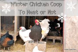 Nothing beats a well organized garage, especially when all the toys are in for the winter. The Winter Chicken Coop Timber Creek Farm