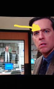 I've asked this elsewhere but no answers yet. Perhaps someone here can  help. I caught a moth in the trap last night which showed features of two  different species. Regardless of how