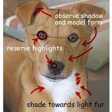 We bet we can guess what kind of dog you have based on your fave horror movie. Draw A Dog From A Photograph