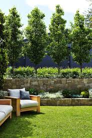 Mosman Outdoor Establishments Outdoor Landscape Design Backyard Landscaping Modern Landscaping