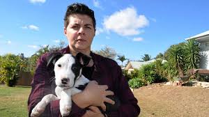 This blog is for the discussion of owning a pet. Mass Puppy Death At Rescue Shelter Sparks Poison Fears The Courier Mail