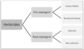 Modes Of Action Of Different Classes Of Herbicides Intechopen