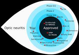 Case For A New Corticosteroid Treatment Trial In Optic Neuritis Review Of Updated Evidence Journal Of Neurology Neurosurgery Psychiatry