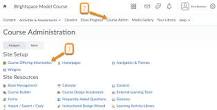 Image result for how to open a course in brightspace