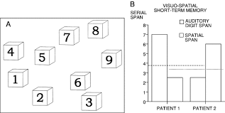 Sprite sheets for learning games. Corsi Block Tapping Test An Overview Sciencedirect Topics