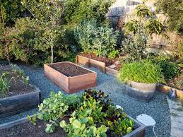 But you can grow sweet corn in a small backyard garden, a raised bed, or even a container. How To Build A Raised Garden Bed Step By Step Guide Homestead And Chill