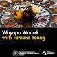 Wayapa Wuurrk with Tamara Young event image